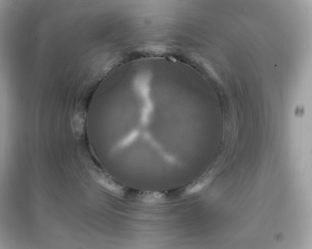 X0000095110576200712071220