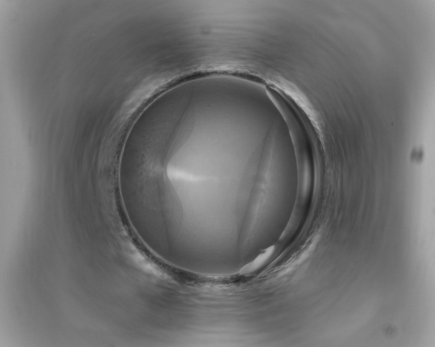 X0000095110577200712071219