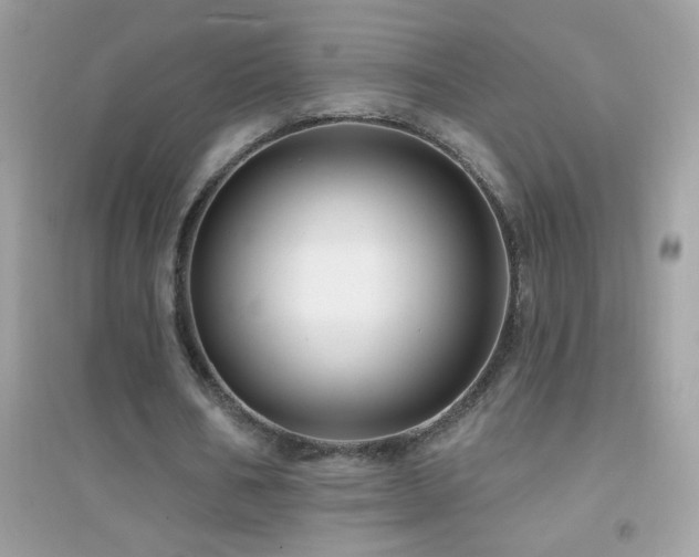 X0000095110578200712071219