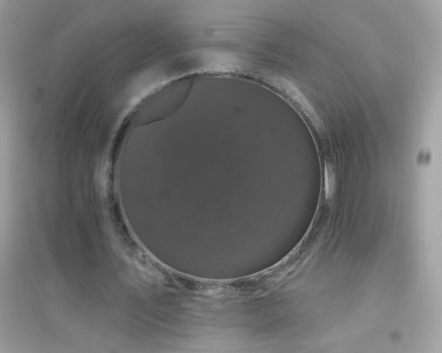 X0000095110579200712071219