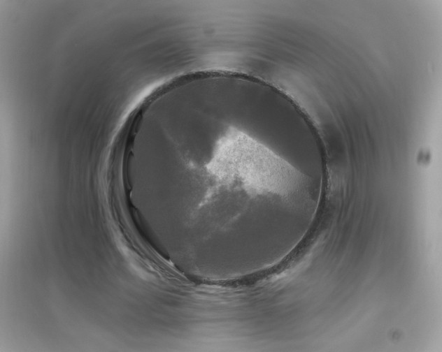 X0000095110580200712071219