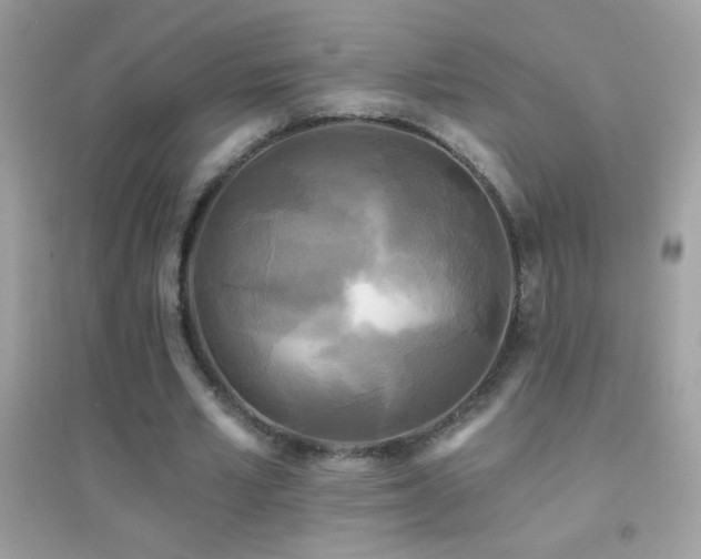 X0000095110581200712071219