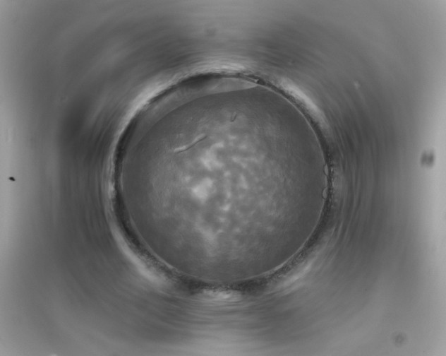 X0000095110582200712071219