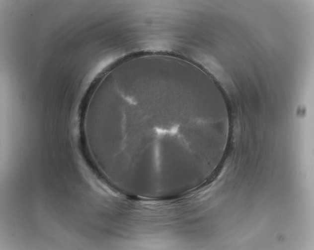 X0000095110584200712071219