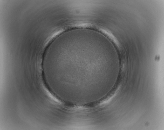 X0000095110585200712071219