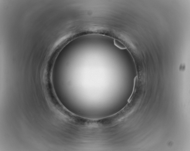 X0000095110587200712071219