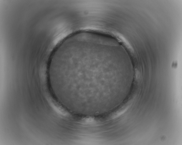 X0000095110588200712071219