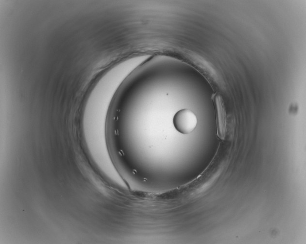 X0000095110589200712071219