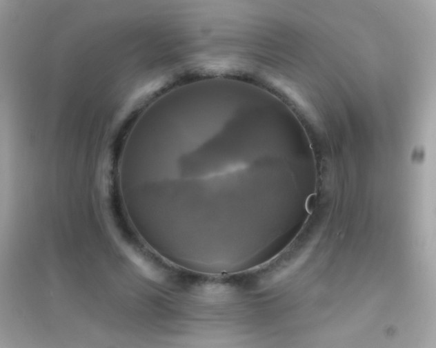 X0000095110590200712071219