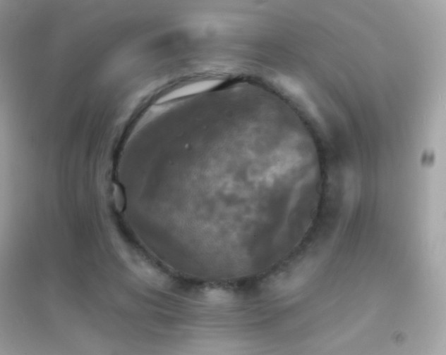 X0000095110592200712071219