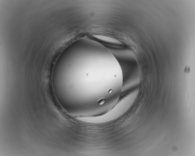 X0000095110593200712071219