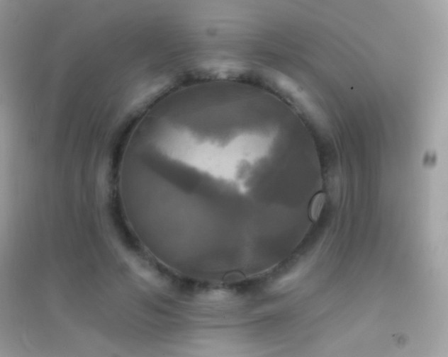 X0000095110594200712071219