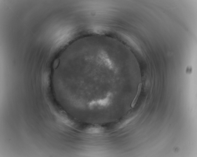 X0000095110595200712071219