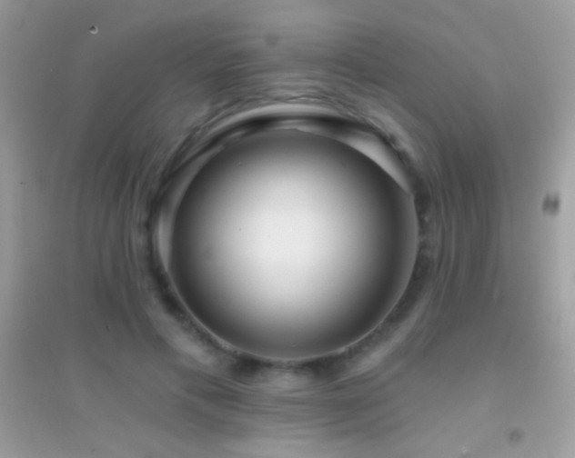 X0000095110597200712071219