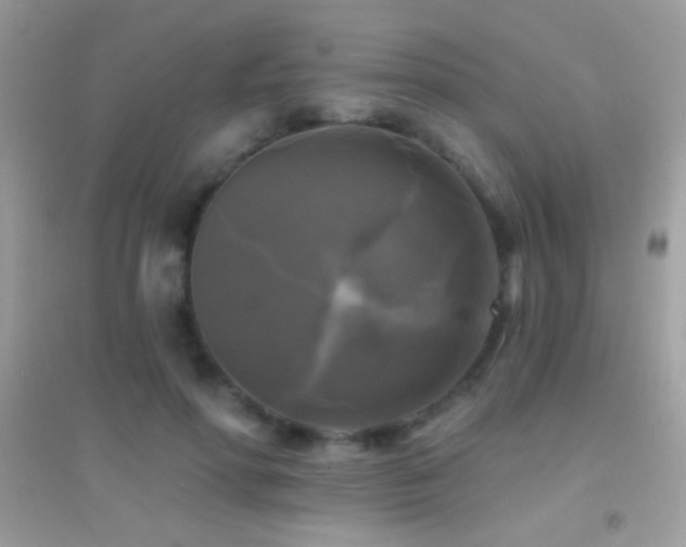 X0000095110598200712071219