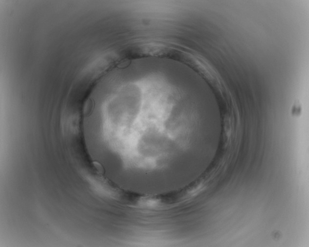 X0000095110602200712071219