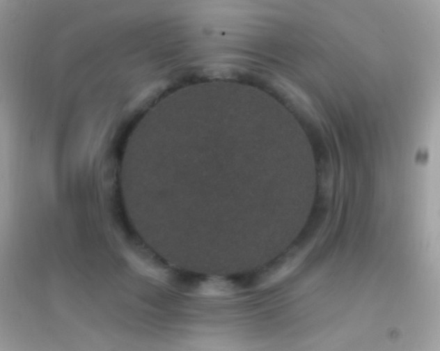 X0000095110603200712071219