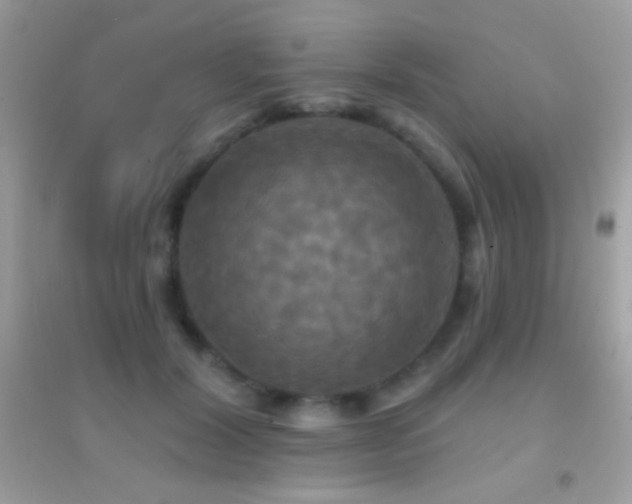 X0000095110604200712071219