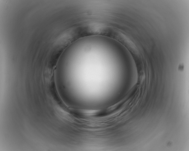 X0000095110605200712071219