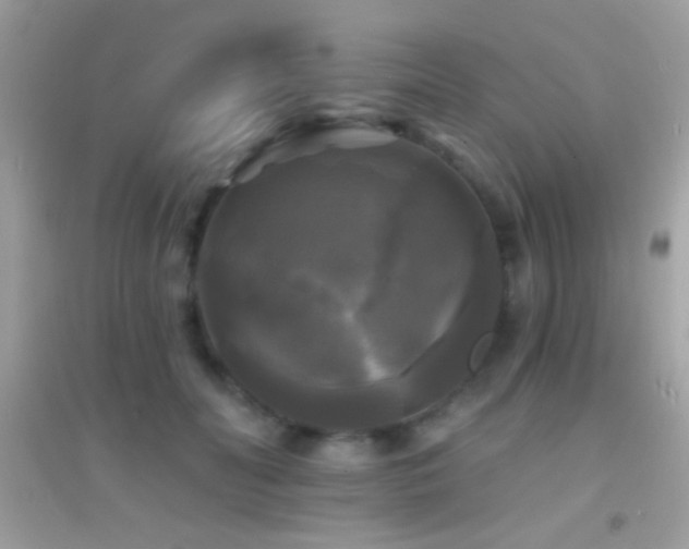 X0000095110606200712071219