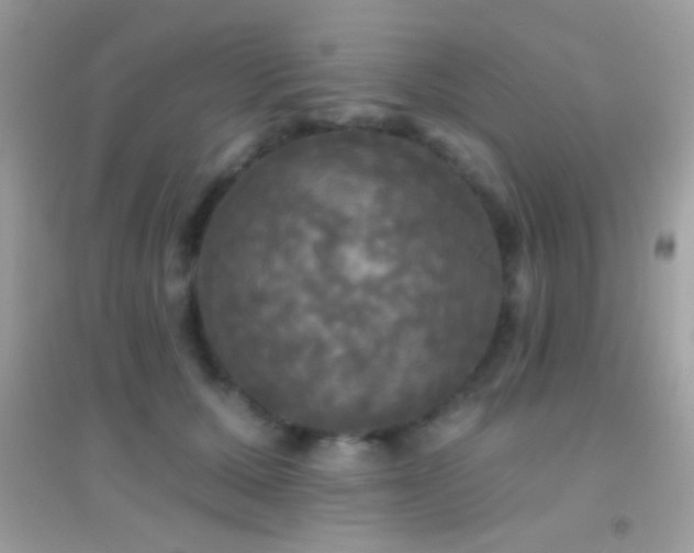 X0000095110607200712071219