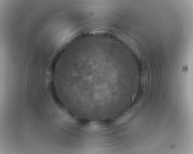 X0000095110608200712071219