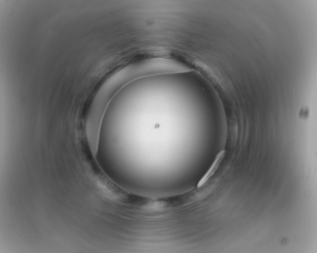 X0000095110609200712071219