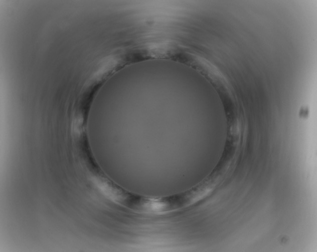 X0000095110610200712071219