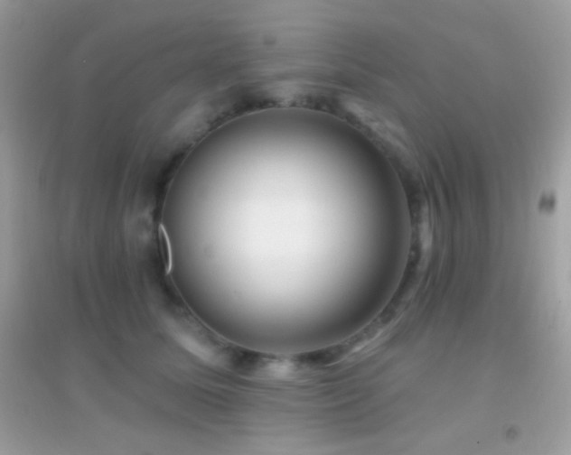 X0000095110611200712071219