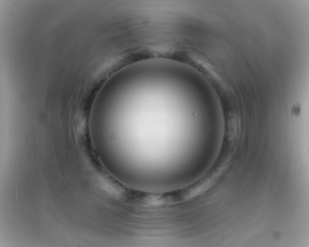 X0000095110613200712071218