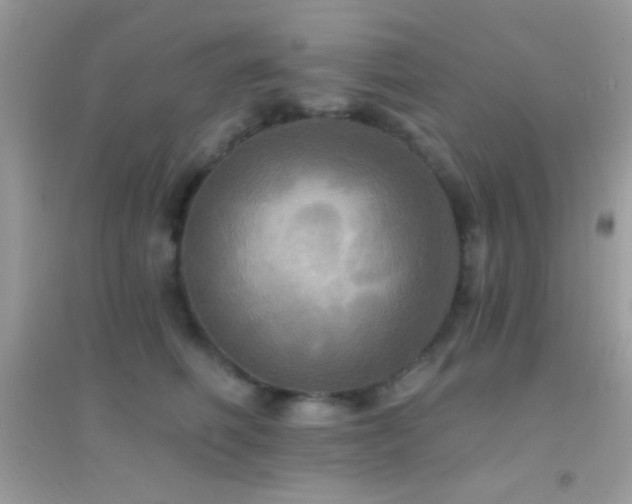 X0000095110614200712071218