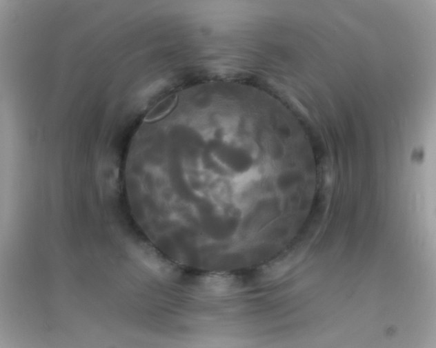 X0000095110615200712071218