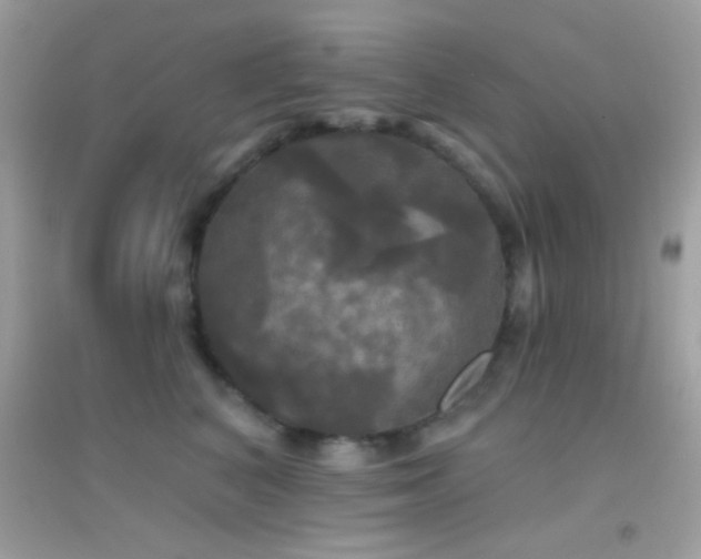 X0000095110616200712071218