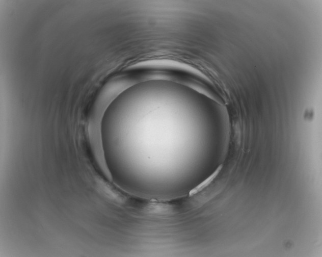 X0000095110617200712071218