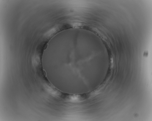 X0000095110618200712071218