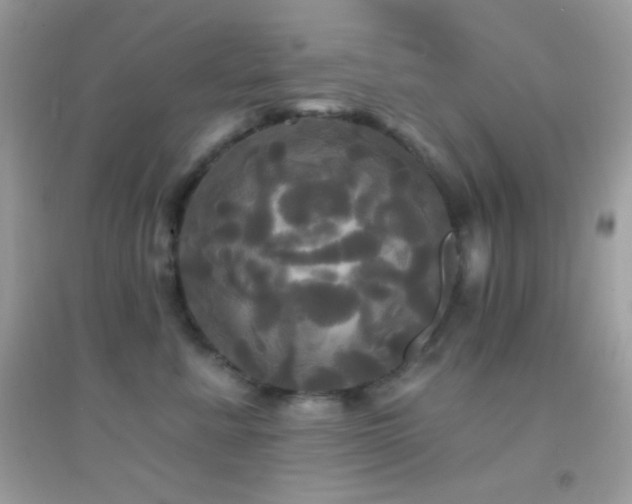 X0000095110619200712071218