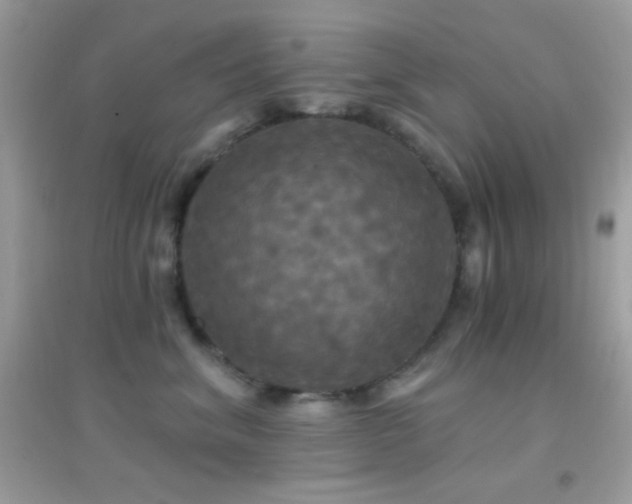 X0000095110620200712071218