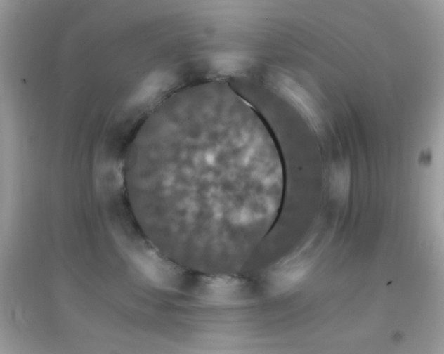 X0000095110621200712071218