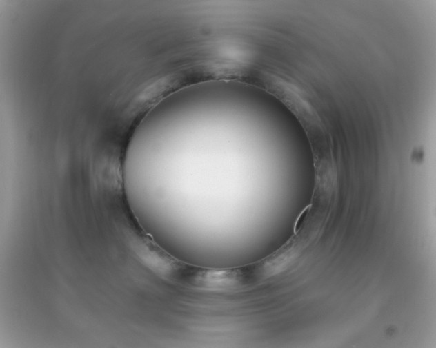 X0000095110622200712071218