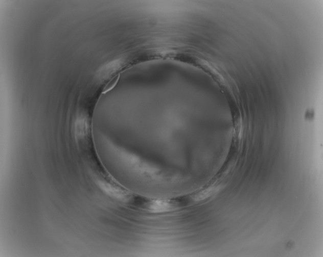 X0000095110623200712071218