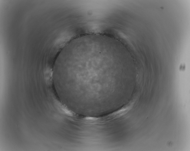 X0000095110624200712071218