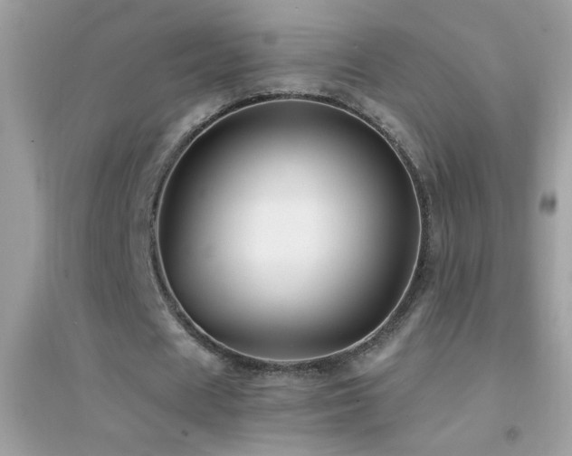 X0000095110625200712071218