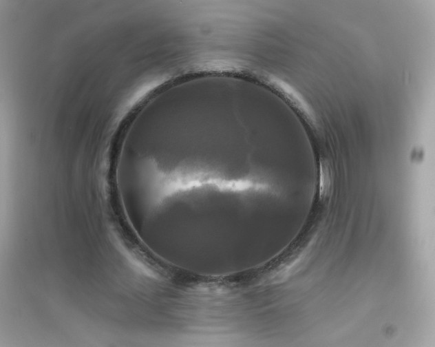 X0000095110627200712071218