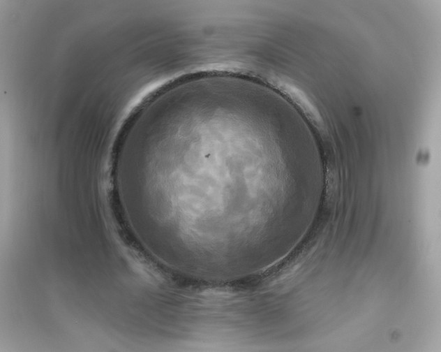 X0000095110628200712071218