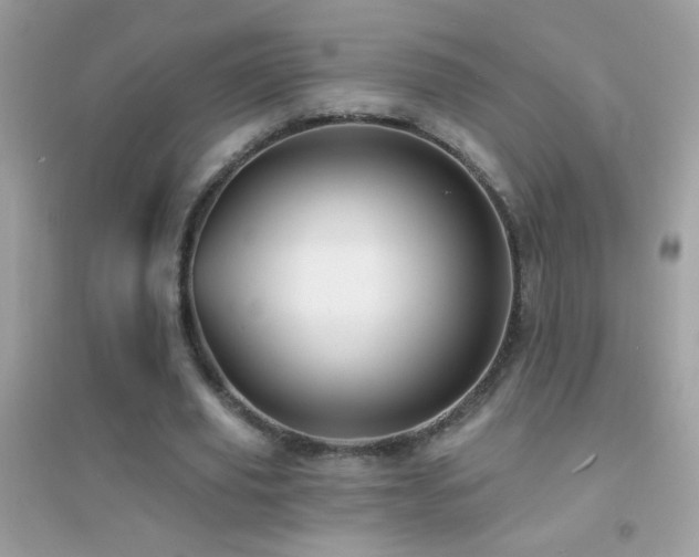 X0000095110629200712071218