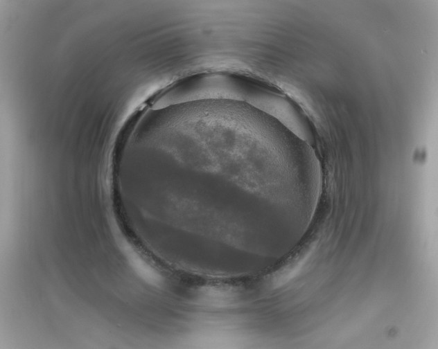 X0000095110630200712071218