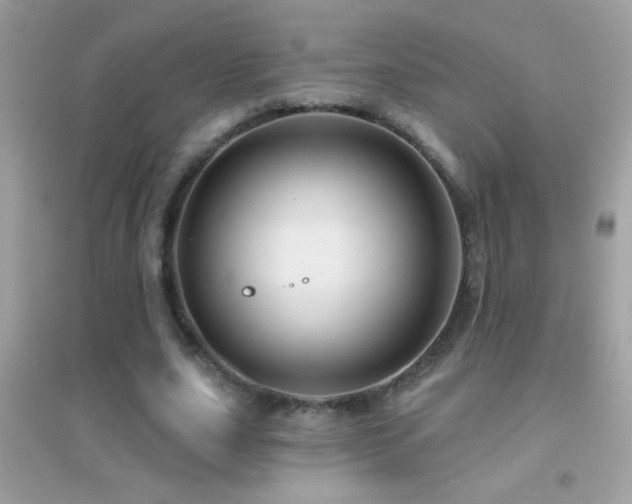 X0000095110631200712071218