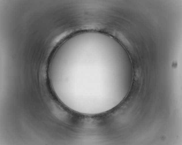 X0000095110632200712071218