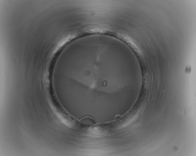 X0000095110634200712071218