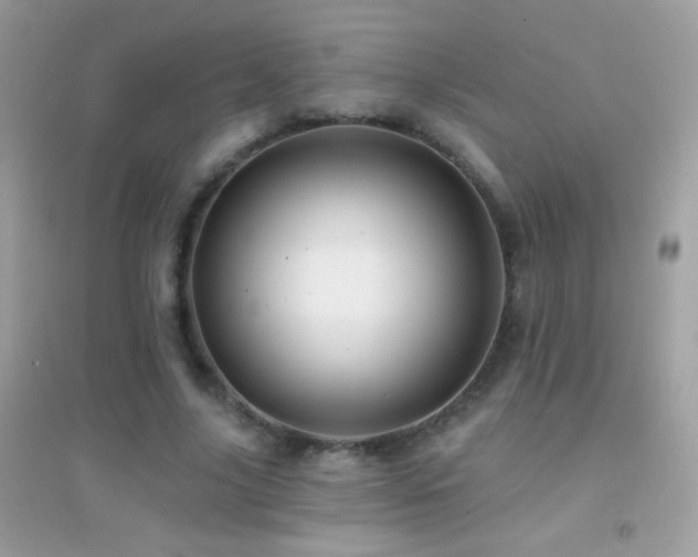 X0000095110635200712071218